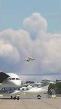 The Split-Second Decision That Saved The Plane - 094