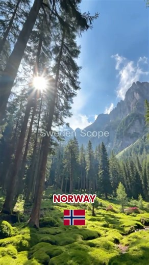 Scenic Nature in Norway 🌲🏞️ #shorts #travel #nature