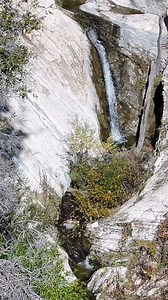 Chris Thompson on Reels