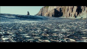 Some might say spring is our best-kept secret. Just ask the icebergs, whales, and puffins that flock to our shores every year. It’s time to experience Newfoundland and Labrador in bloom. | Newfoundland & Labrador Tourism