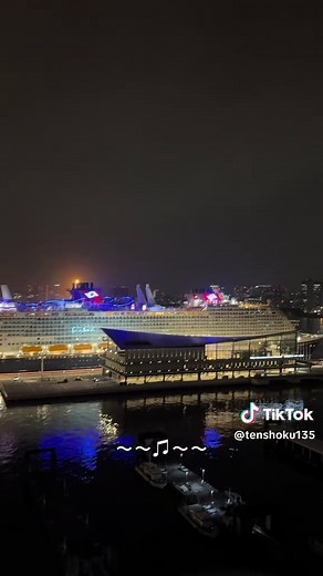 迫力満点のディズニークルーズ体験