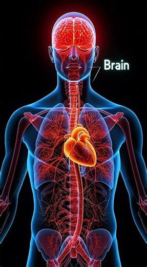 Flu Virus Explained – Symptoms, Causes & Prevention #health #science #shortsfeed #shorts