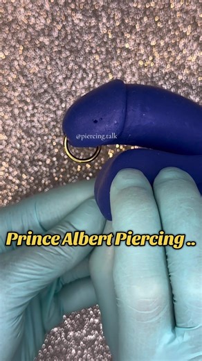#princealbert #piercing #piercingidea #piercings #fy | prince albert's piercing