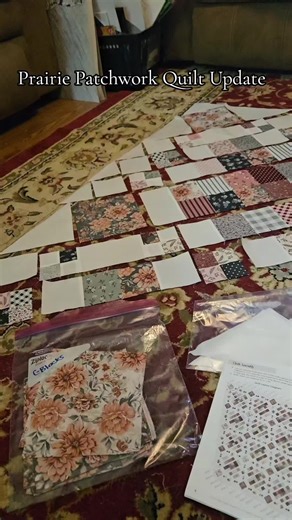 Prairie Patchwork Quilt Update- I finally made it to the layout stage. This is going to be a doozy! #quiltpattern #quilting #quiltersoftiktok #quilttok #quiltingismytherapy