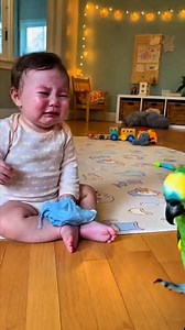 Parrot calms a crying baby 🦜👶💙 #TalkingParrot #BabyCalm #DaycareMoment #HeartTouching #RealVoice #GentleCare #UnexpectedComfort #FacebookReels | Smile of Prosperity