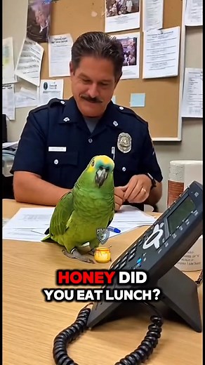 This parrot is RUTHLESS 💀 He roasted this cop for being a "momma's boy"! 😭 #funny #reels #comedy #lol #lmao #funnyanimals #waitforit #viralvideos | Larry the Parrot