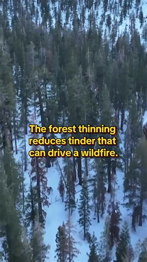 5.8K views · 92 reactions | Wood gathered from national forests is being used by Native Americans to heat their homes in communities facing harsh winters and limited access to affordable heating. The wood comes from trees cleared to prevent wildfires, which would have otherwise gone to waste. | CBS Evening News | Facebook