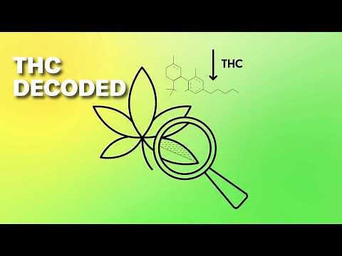 The Science of Marijuana and THC is Fascinating and More Important Than Ever