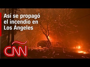 Resumen de los incendios en Los Ángeles, California: daños, víctimas y noticias - 8 de enero