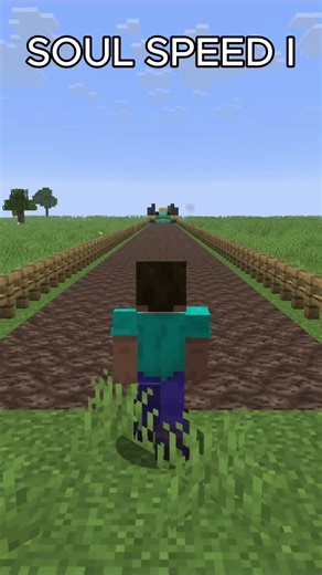 How Fast Are Soul Speed Boots? 💨💨 | #minecraft #shorts
