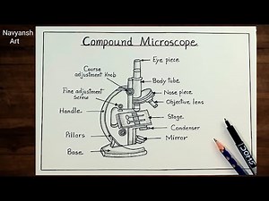 How to draw Compound Microscope diagram step by step/Microscope labeled diagram drawing