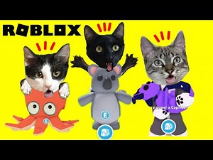 100 Roblox Pets and Secrets: Adopt Me Playing with Luna and Star Kittens