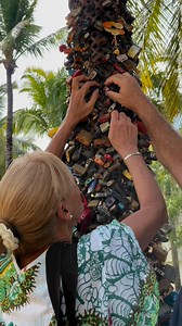 At Catalonia Bávaro Beach, every corner holds a story and every stay becomes an unforgettable memory. Come and discover why our guests take away more than just an experience. #BeCatalonia En Catalonia Bávaro Beach, cada rincón guarda una historia y cada estancia se convierte en un recuerdo inolvidable. Ven y descubre por qué nuestros huéspedes se llevan más que una experiencia #CataloniaHotels #CataloniaResorts #love #puntacana #RepDom #travels | Catalonia Bavaro Beach, Golf & Casino Resort