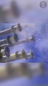 The Gun That Shoots Chickens
