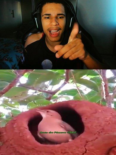 Esse CANTO lembra na RAIZ! #Coffee_dfn