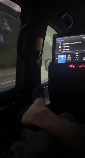 Driving Through Fog: Navigate with Confidence