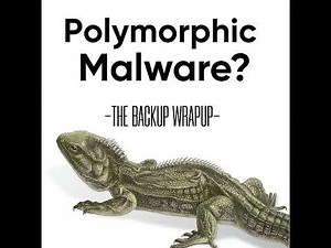 How Polymorphic Malware Evades Detection — And What to Do About It
