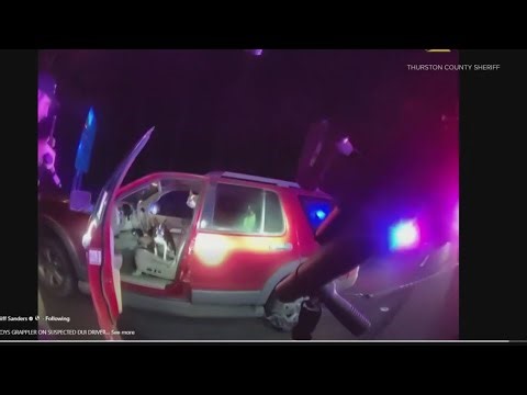 Driver arrested on suspicion of DUI amid high-speed chase with five dogs on I-5, say authorities