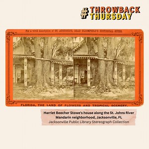 4 comments | Stereograph images were created by placing two...