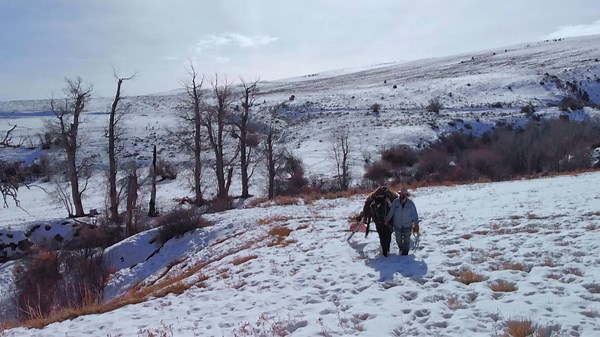 Mountain Men Season 9 Episode 4 Beasts of Burden