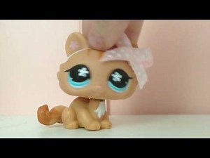 How to pack your LPS for a vacation!