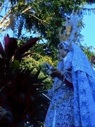⚜️¡Glorioso 2 de febrero 2026 🕯️En este día de Solemnidad y Gracia, la Reina de Diriomo, El Orgullo de Nuestro Pueblo Nuestra Madre y Señora de Candelaria #paratiiiiiiiiiiiiiiiiiiiiiiiiiiiiiii #viraltiktok #nicaragua🇳🇮 #livehighlights #liveinteraction