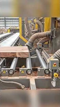 Inside the Largest Wood Sawmill Factory - How Plywood Is Made From Logs to Table (Full Process)