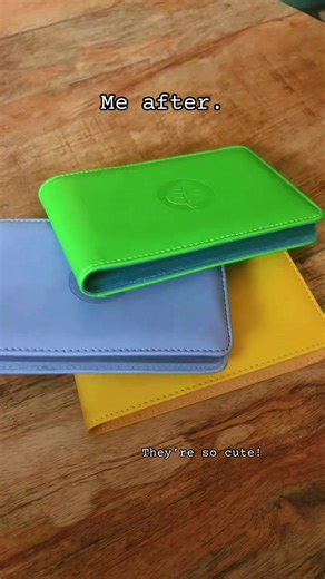 Discover the Cutest Energy Mini Binders!