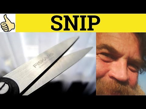 🔵Snip Snippet Snippy - Snip Meaning - Snippet Examples - Snippy Definition -Essential GRE Vocabulary