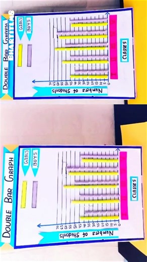 Double Bar Graph Model,Mathematics Day Exhibition#ytshorts#drawing #shorts #ytshorts#viral#trending