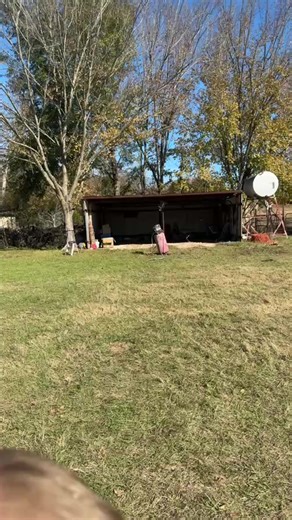 🎉 **PREVIEW DAYS ARE OPEN!** 🎉 The Hill Estate Auction is ready for viewing! Stop by Today - December 11th) from **10AM - 6PM** to get an up-close look at all the amazing items before auction day! 🚜 **What You'll Find:** Kubota Tractor • https://elkharthorseauctions.com/online/120/item/310222 Gravely ZX60 Zero Turn • 1998 Nitro Boat • Harley-Davidson Motorcycle • 30' RKCL Kountry Star Newmar Camper • 1986 Dry Van Trailer • Grappler • Box Blade • Saddles & Tack • Autographed Rodeo Memorabilia 