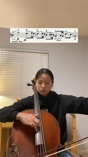 Jessica Zhang on Instagram: "More Dvorak! - - - Dvorak cello concerto - - #cello #classicalmusic #musician #music #practice"