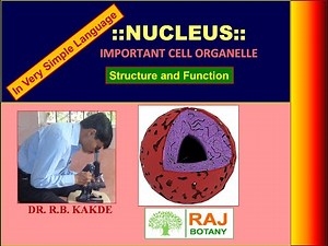 Ultrastructure and Function of Nucleus