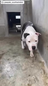 17K views · 1.7K reactions | We are very sad to report that Prince...