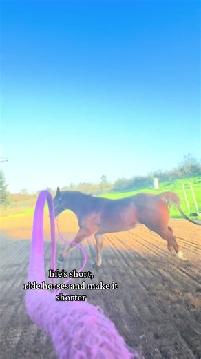 Mastering Barrel Racing on Sunny Days