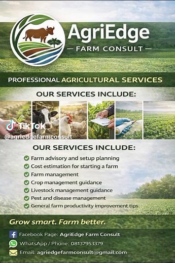 🌱 *AGRIEDGE FARM CONSULT – PROFESSIONAL AGRICULTURAL SUPPORT*🌱 Are you a Farmer, Agribusiness Owner, Student, Or Beginner looking to improve productivity, reduce losses, and farm profitably? *AgriEdge Farm Consult* is a registered agricultural consulting brand providing practical, reliable, and result-oriented agricultural guidance. Our Services Include: ✅ Poultry production consulting (broilers & layers) ✅ Crop production guidance and best practices ✅ Farm management and record keeping ✅ Dise