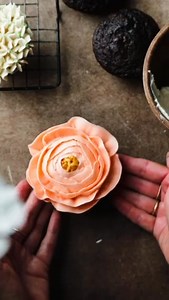 32K views · 503 reactions | RYZE is powered by functional mushrooms...