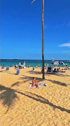 🇺🇸 This Is Why Everyone Comes to Florida 🔥 USA #shorts