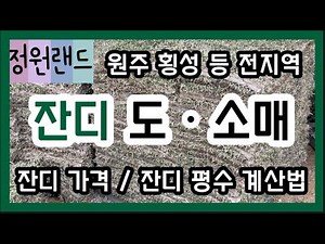 [정원랜드] 전국 잔디 도소매 /잔디 가격/잔디 평수 계산법/잔디종류/잔디추천