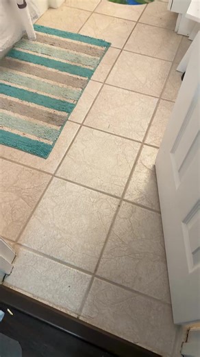 Bob the toilet | bob