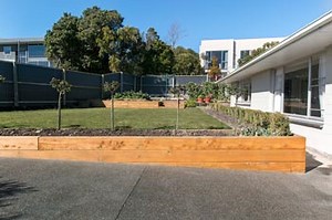 Pool removal and landscaping - Backyard Projects