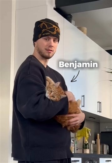 Hoe dit kan gebeuren blijft voor mij een raadsel… Maar Benji is in de beste handen en we gaan hem opvoeden tot de beste kat ooit! Volg voor meer 😁 #cat #CatsOfTikTok #straycat #voorjou #orangecat