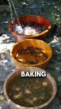 Catch, Cook & Eat – Countryside Style! 🦞