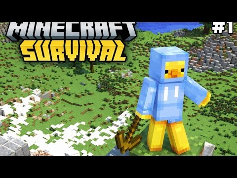 Minecraft Survival Series EP-1 | New World First Day 😱 | Hindi Gameplay
