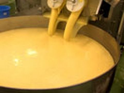 THE MAKING （２７３）チーズができるまで