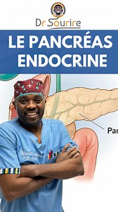 # Les deux grandes fonctions du pancréas Le pancréas est un organe fascinant qui joue un rôle crucial dans notre organisme grâce à ses deux fonctions principales : ### 1. La fonction endocrine C’est celle dont on parle le plus dans le contexte du diabète. La partie endocrine du pancréas est constituée des îlots de Langerhans, qui ne représentent qu’environ 1-2% de la masse totale de l’organe. Ces îlots contiennent différents types de cellules spécialisées : - Les cellules bêta (β) : produisent l