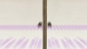 21K views · 679 reactions | Tamahiko isn't sure what to do when Yuzuki Tachibana shows up one day, proclaiming to be his wife. How will he manage this newfound attention?  We can't wait for Taisho Otome Fairy Tale's premiere next month! | Funimation | Facebook