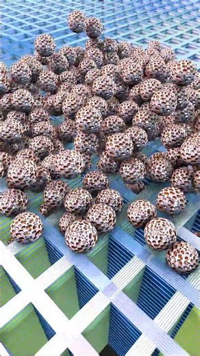 Oddly Satisfying Sphere Simulation №100 #3danimation #physics