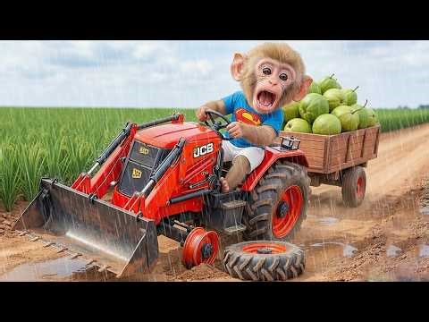 🐒🚜 Monkey BonBon Drives a JCB to Harvest Giant Guavas… but a Nail Trap Thief Ruins the Machine! 🍈🚨