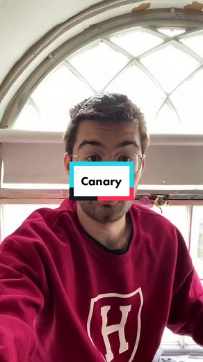 Exploring the Etymology of 'Canary' in English Linguistics